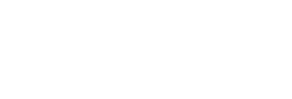 Nautique Logo