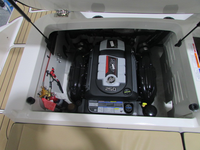 2026 Sea Ray SPX 210 Boat